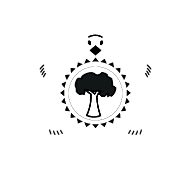 Sam Anderson Turtle Logo